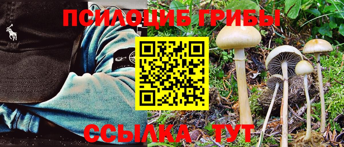 магазин  наркотиков  Галлюциногенные грибы MAGIC MUSHROOMS  Вход с VPN  Касимов 